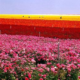 超级IP携“武装大师”归来！《战地风云2042》S2赛季正式上线！