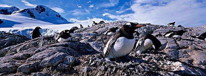 传闻：《Avowed》和《夺宝奇兵：古老之圈》6月10日发布细节